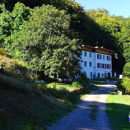 Domaine L'Imperatrice Apartamento Plombières-les-Bains Exterior foto